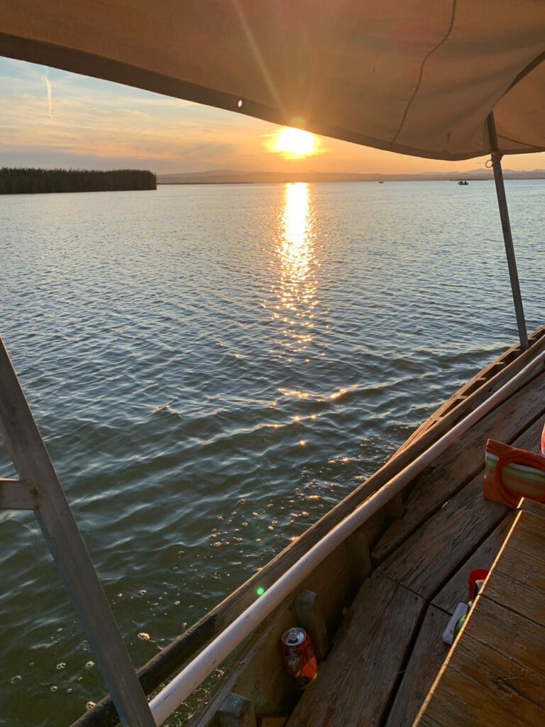 ¿Cuál es la mejor época para visitar la Albufera de Valencia? La Albufera cambia con las estaciones y ofrece paisajes completamente diferentes según la época en la que la visites, convirtiéndose en un destino perfecto para disfrutar de la naturaleza en cualquier mes.