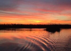 La albufera de Valencia no es solo un paraje natural de belleza incalculable; es un libro abierto que narra siglos de civilización. Antes de ser el destino predilecto para los paseos en barca en El Palmar, este ecosistema ya cautivó a los ingenieros y poetas del imperio romano, quienes la bautizaron con un nombre lleno de mística: Nacarum stagnum o estanque de nácar.