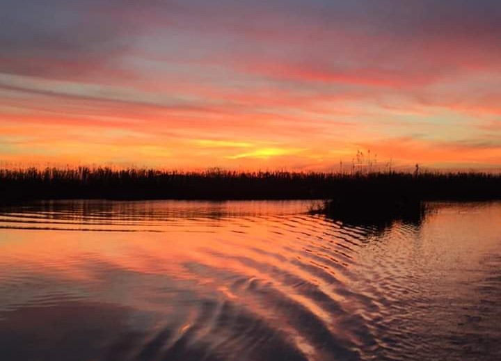 La albufera de Valencia no es solo un paraje natural de belleza incalculable; es un libro abierto que narra siglos de civilización. Antes de ser el destino predilecto para los paseos en barca en El Palmar, este ecosistema ya cautivó a los ingenieros y poetas del imperio romano, quienes la bautizaron con un nombre lleno de mística: Nacarum stagnum o estanque de nácar.