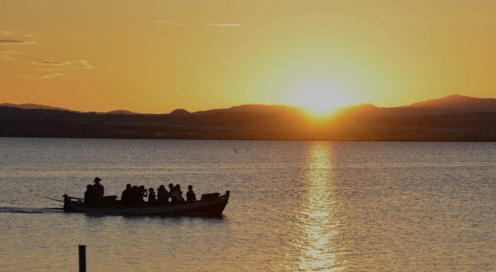 En esta guía práctica para visitar la Albufera de Valencia, te contamos todo lo que necesitas saber: cómo llegar, qué ver en El Palmar, dónde comer la auténtica paella y cómo reservar el mejor paseo en barca tradicional para que tu día sea redondo.