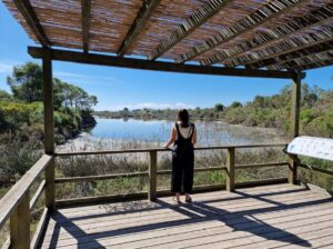 Si quieres conocer la cara más salvaje del Parque Natural de la Albufera, El Racó de l'Olla de la Albufera de Valencia es una visita imprescindible. Este espacio natural protegido, situado entre la laguna y la Devesa del Saler, permite descubrir de cerca la extraordinaria biodiversidad de uno de los humedales más importantes de Europa.